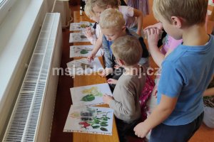 img_20251105_103651