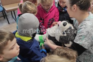 img_20260219_101151