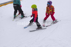 img_20260127_085308