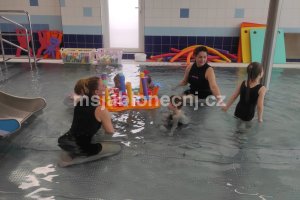 img_20260410_111054