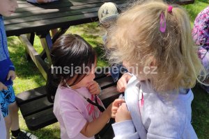 img_20260528_102802