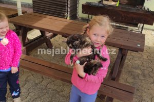 img_20260609_092240
