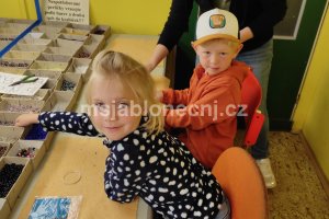 img_20260609_100529