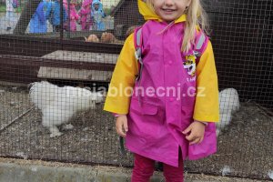 img_20260609_120843
