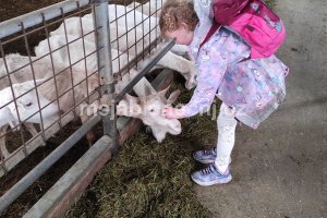 img_20260609_122631
